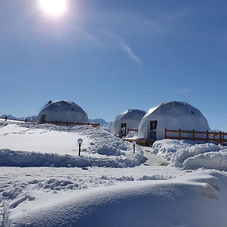 Glamping Pasieka Gron Bagian luar foto