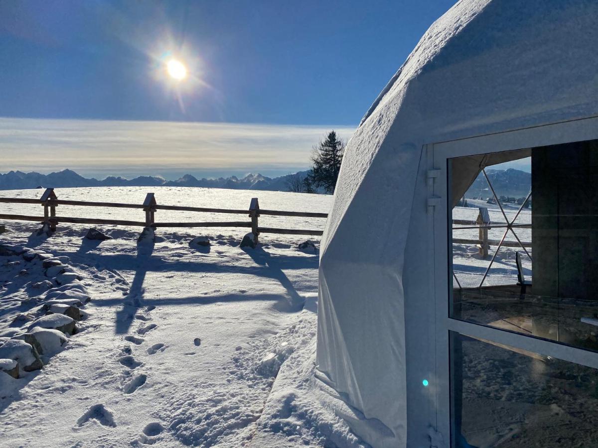 Glamping Pasieka Gron Bagian luar foto